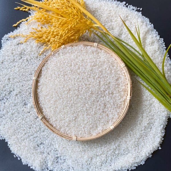 Riso, cereali & Farina